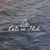 Cats on Slide - 幻燈片上的貓