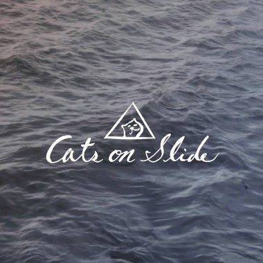 Cats on Slide - 幻燈片上的貓