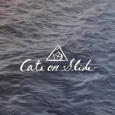 Cats on Slide - 幻燈片上的貓