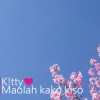 Maolah kako kiso