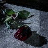 Z!¥an-Kill Me