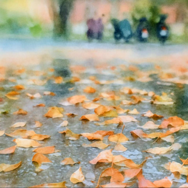 下雨天的周末