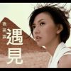 遇見 - 孫燕姿 (cover)