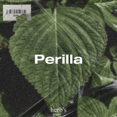 Perilla
