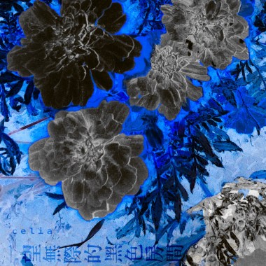 一望無際的黑色房間ᴱⁿᵈˡᵉˢˢᵇˡᵃᶜᵏʳᵒᵒᵐ