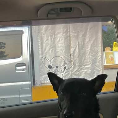 膽小鬼 demo