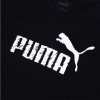 PUMA 2018
