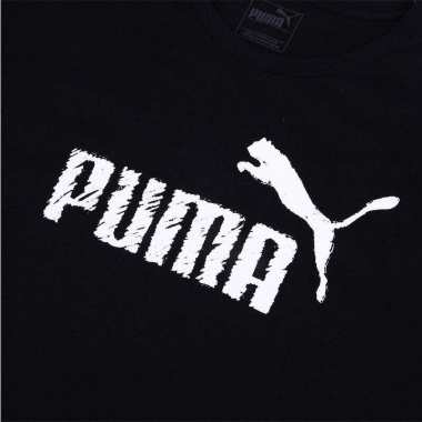 PUMA 2018