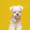 test remix