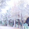 Together