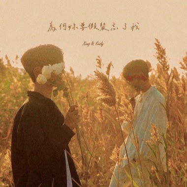 為何妳要假裝忘了我 (feat.Kaizly）