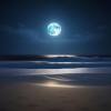 【Piano】La mer sous la lune (月下的海)