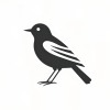 【Harp】Un oiseau aux ailes brisées (折翼之鳥)