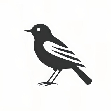 【Harp】Un oiseau aux ailes brisées (折翼之鳥)