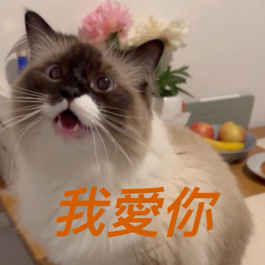 陳郡白chunpai_我愛你Be Happy Together