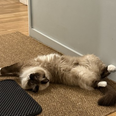 最好的生活狀態_demo