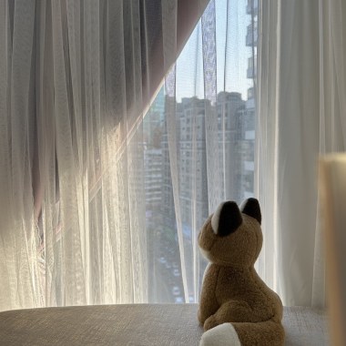 新老情歌