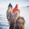 On_the_way_to_leaving_acient_capital_in_Mongolia
