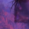什麼時候 (demo)