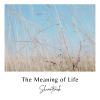 The Meaning of Life (Demo) (2022)