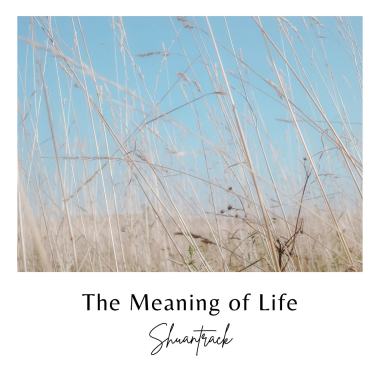 The Meaning of Life (Demo) (2022)