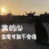 我的心怎麼可能不會痛