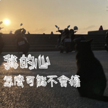 我的心怎麼可能不會痛