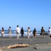 面朝大海，春暖花開