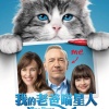 2016年電影作品｜我的老爸喵星人｜中文宣傳曲｜躲貓貓