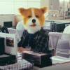 2019年廣告作品｜遠雄人壽【做自己的英雄】｜形象廣告曲｜冬の蜃気楼（冬日蜃樓）