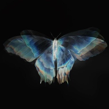 Butterfly （練團室ver.)
