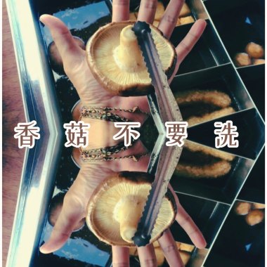 香菇不要洗