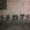 給你的愛（Demo)