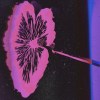 5/20 (Demo)