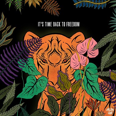 It's time back to freedom
