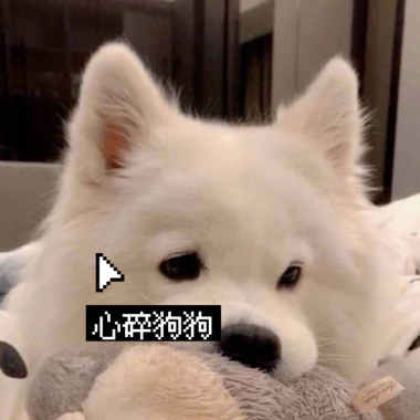 心碎狗狗