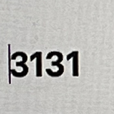 3131
