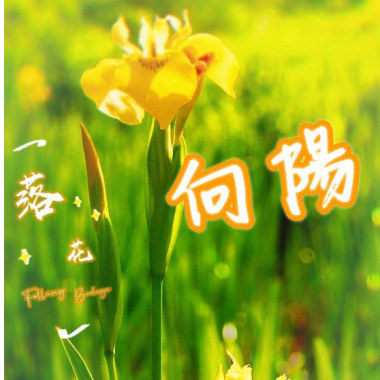 向陽