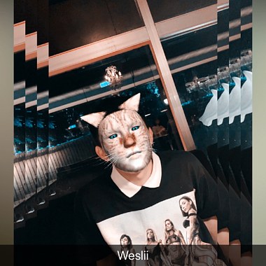 weslii -【調皮的貓 Naughty Cat】@_weslii_
