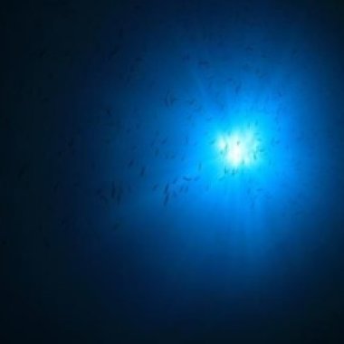 海深處