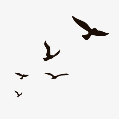 鸟