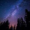 星星忘記了