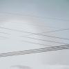 LazyB