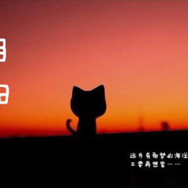 自由