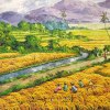 Love among the haystacks