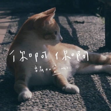 魏如萱 (waa wei)-你啊你啊 Cover By 城市浪橘