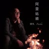 梁凡 - 阿楚姑娘 Cover By 城市浪橘
