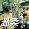 五月天（MayDay)-溫柔 Cover By 城市浪橘