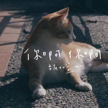 魏如萱 (waa wei) - 你啊你啊（用九柑仔店）Cover By 城市浪橘