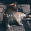 魏如萱 (waa wei) - 你啊你啊（用九柑仔店）Cover By 城市浪橘